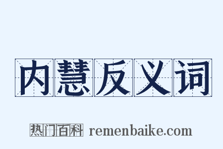 内慧反义词是什么意思的图片